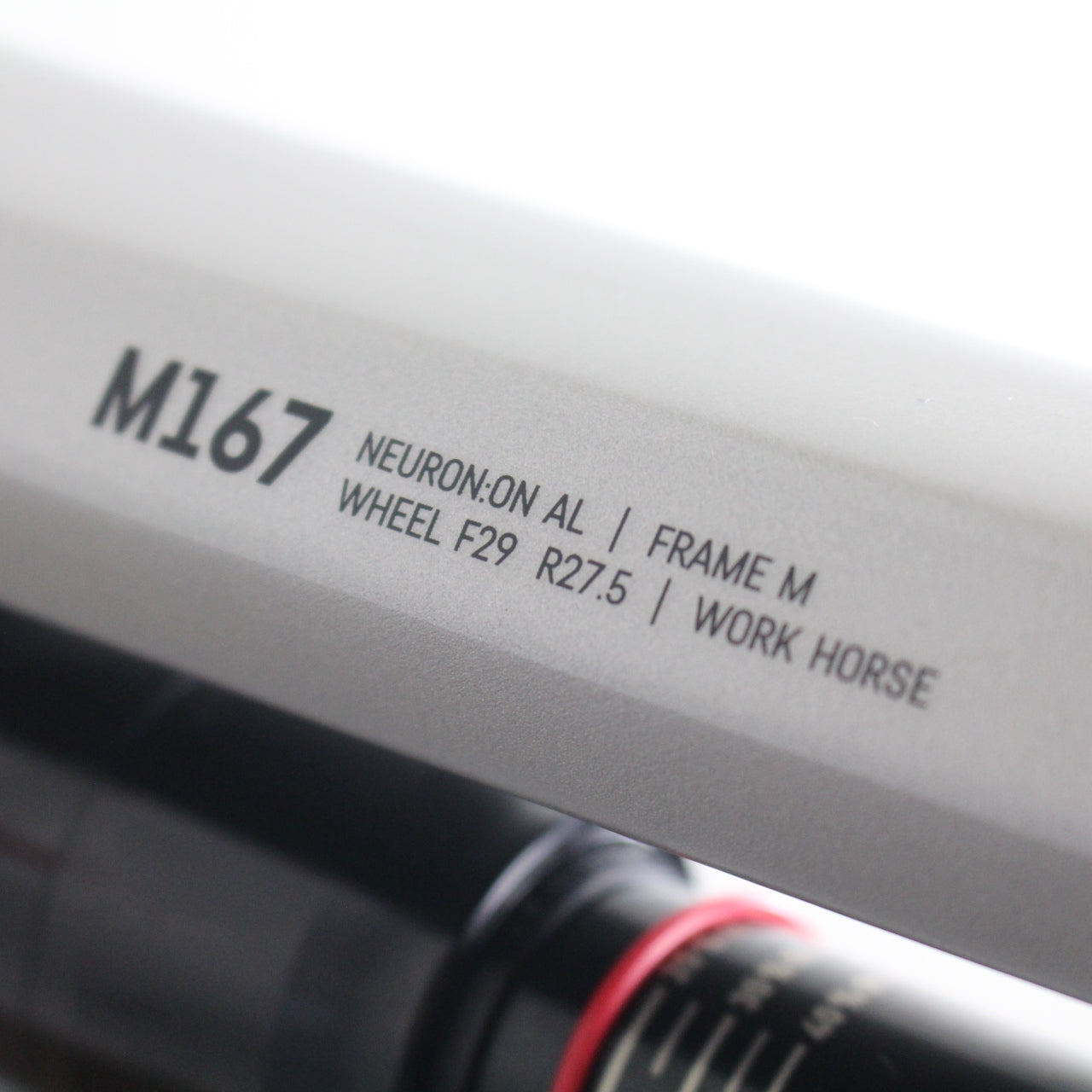 Canyon Neuron:ON AL 2025/26 | Frame Protection Kit