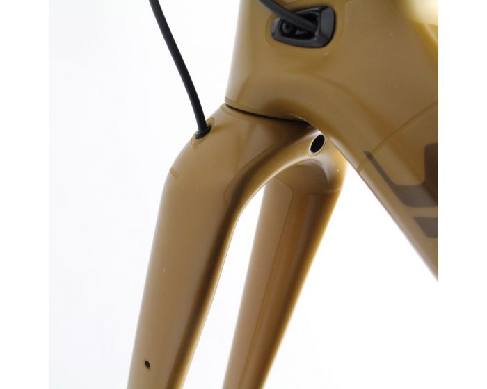Specialized Creo 2 Carbon 2024/25 | Frame Protection Kit