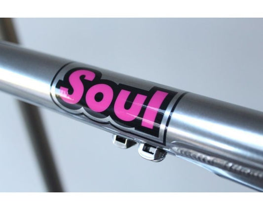 Cotic Soul Gen 5 2018 | Frame Protection Kit