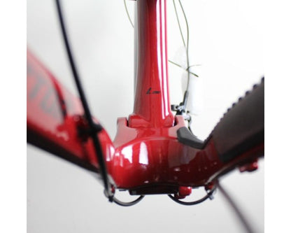 Nukeproof Reactor Carbon 29 2020-23 | Frame Protection Kit