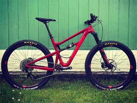 Santa Cruz Invisiframe Custom Decals – invisiframe