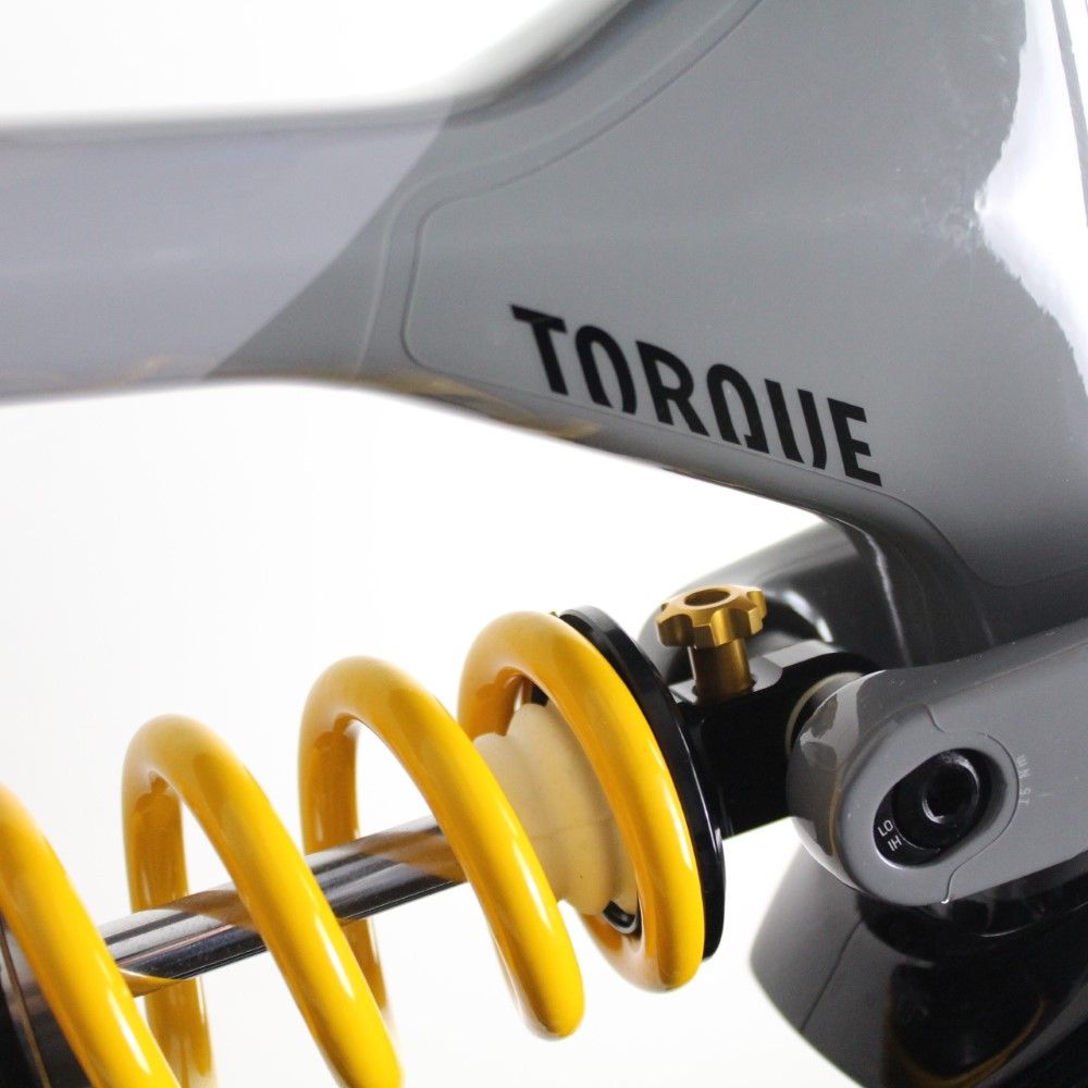 Canyon Torque Mullet CF 2022/23 | Frame Protection Kit