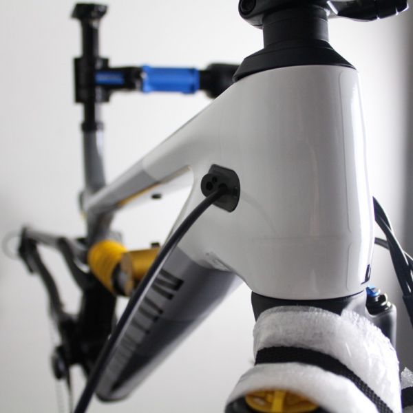 Canyon Torque Mullet CF 2022/23 | Frame Protection Kit